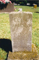  Ella A. <I>Grumman</I> Barricklow