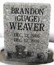  Brandon Guage Weaver