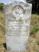  Nancy E. “Nannie” <I>Powell</I> Donoho