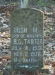  Irish Tarter