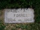  Mabel A <I>Driscoll</I> Forrest