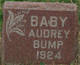  Audrey Rose Bump