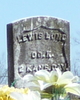  Lewis Long