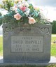 David W. “Dave” Harville Photo