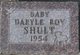  Daryle Roy Shult