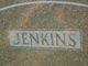  John Wesley Jenkins