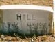 Hiram Wylie Hill
