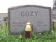  John Gozy