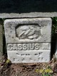  Cassius M. Cawley