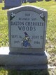  Dalton Cherokee Woods