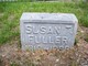  Susan T. Fuller