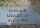  Adrian V Mobley Jr.