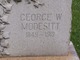  George Wilson Modesitt