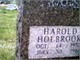  Harold Holbrook