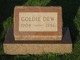  Goldie Dew