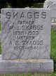  William J Skaggs