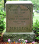  Albert S Briggs