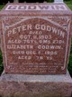  Peter Godwin