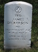 Ted James Dickerson Photo