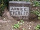  Annie Elizabeth <I>Irvine</I> Everett