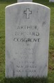  Arthur Bernard Cosgrove