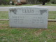  Mary E. <I>Rawlins</I> Ellis