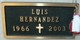  Luis Hernandez