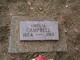  Amelia Campbell