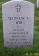  Andrew Henry Job