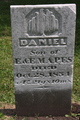  Daniel Mapes