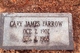  Cary James Farrow