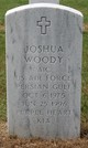  Joshua E. Woody