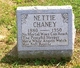  Nettie <I>Goshen</I> Chaney
