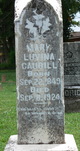 Mary Luvina <I>PENNINGTON</I> Caudill