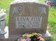  Uiva Fox