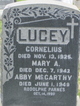  Cornelius Lucey
