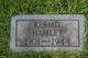  Kermit Hamlet