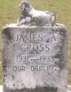  James A. Cross