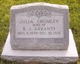  Julia Ann <I>Crumley</I> Arrants