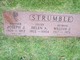  Joseph J. Strumble