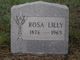  Rosa <I>Moller</I> Lilly