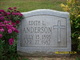  Edith Lucinda <I>Johnson</I> Anderson