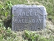  Abel C. Halladay