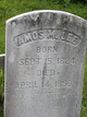  Amos M Lee