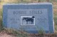  Robert H. “Bobbie” Stiles Jr.