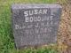  Susan L <I>Bowden</I> Bouquies