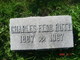  Charles Ferdnand Ruth Sr.