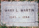  Mary Louisa <I>Cummins</I> Martin
