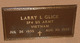  Larry Glick