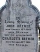  John Brewer Jr.